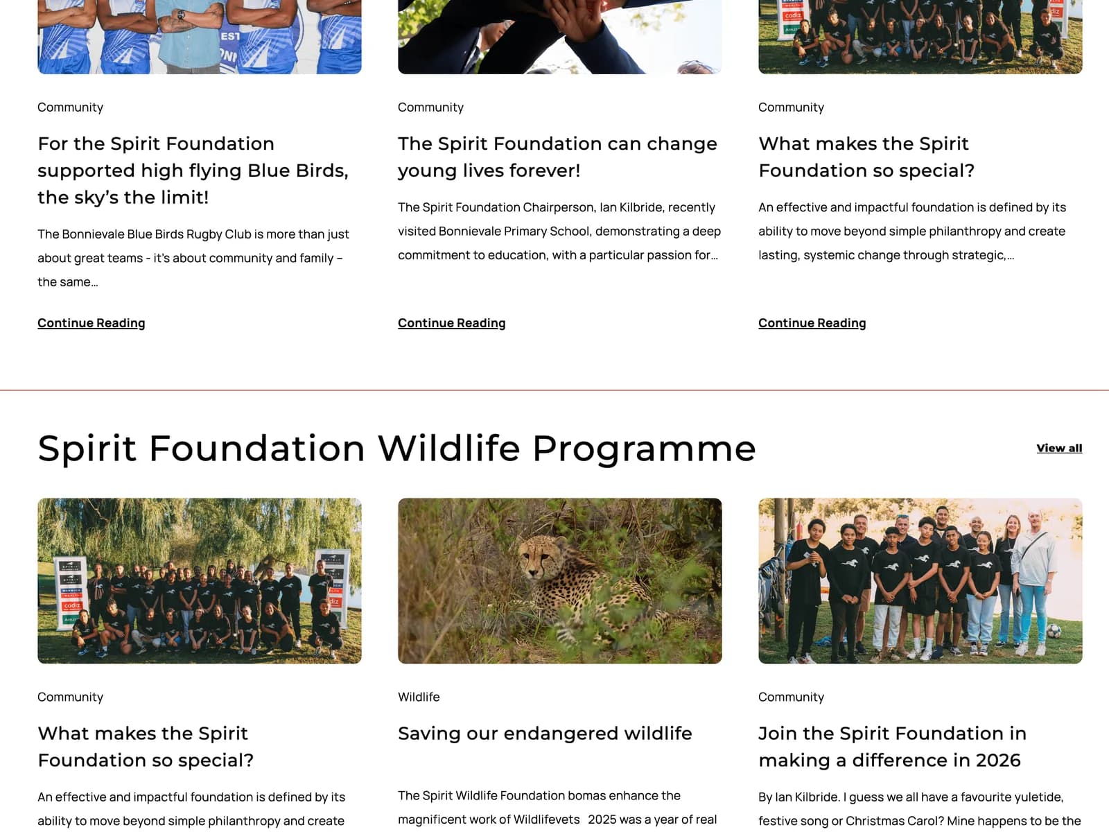 Spirit Foundation Website, Spirit Foundation